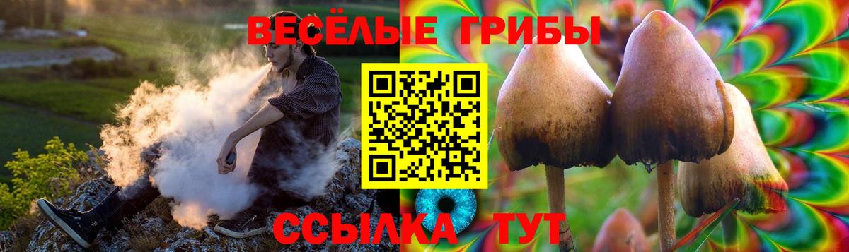 Тобольск  продажа наркотиков  Вход с VPN  Галлюциногенные грибы Psilocybe 
